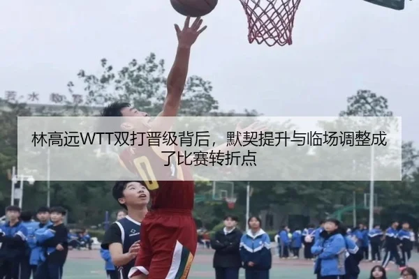 林高远WTT双打晋级背后，默契提升与临场调整成了比赛转折点 - Sina Sports
